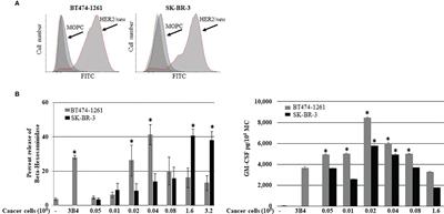 Human Tumor Targeted Cytotoxic Mast Cells for Cancer Immunotherapy